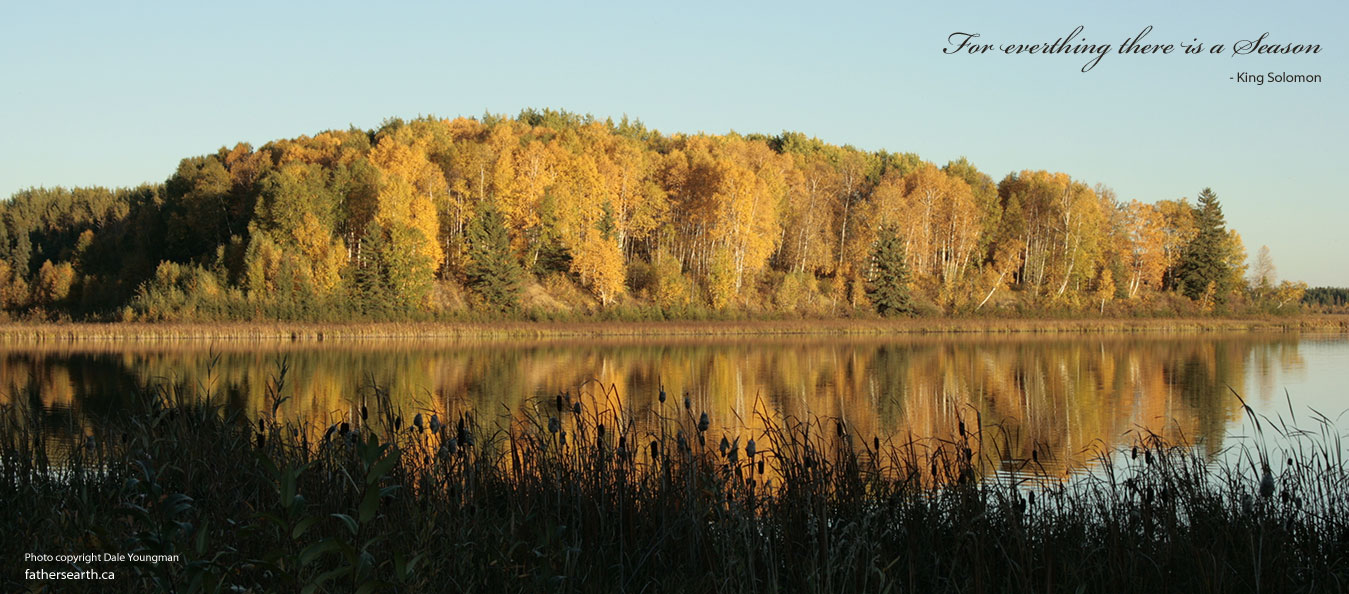 Amber Reflection - Clear Lake Alberta by Dale Youngman